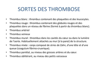 SORTES DES THROMBOSE
• Thrombus blanc : thrombus contenant des plaquettes et des leucocytes.
• Thrombus rouge : thrombus contenant des globules rouges et des
plaquettes dans un réseau de fibrine (formé à partir du thrombus blanc).
• Thrombus artériel
• Thrombus veineux
• Thrombus mural : thrombus dans les cavités du cœur ou dans la lumière
de l'aorte. Habituellement attachés au mur (à la paroi) de la structure.
• Thrombus mixte : corps composé de stries de Zahn, d'une tête et d'une
queue (coagulum fibrino-cruorique).
• Thrombus pariétal, au niveau des grosses artères et du cœur.
• Thrombus oblitérant, au niveau des petits vaisseaux
 