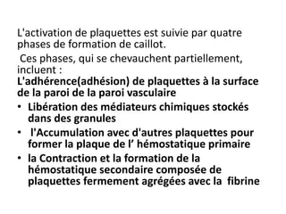 L'activation de plaquettes est suivie par quatre
phases de formation de caillot.
Ces phases, qui se chevauchent partiellement,
incluent :
L'adhérence(adhésion) de plaquettes à la surface
de la paroi de la paroi vasculaire
• Libération des médiateurs chimiques stockés
dans des granules
• l'Accumulation avec d'autres plaquettes pour
former la plaque de l’ hémostatique primaire
• la Contraction et la formation de la
hémostatique secondaire composée de
plaquettes fermement agrégées avec la fibrine
 