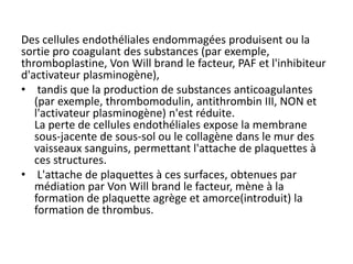 Des cellules endothéliales endommagées produisent ou la
sortie pro coagulant des substances (par exemple,
thromboplastine, Von Will brand le facteur, PAF et l'inhibiteur
d'activateur plasminogène),
• tandis que la production de substances anticoagulantes
(par exemple, thrombomodulin, antithrombin III, NON et
l'activateur plasminogène) n'est réduite.
La perte de cellules endothéliales expose la membrane
sous-jacente de sous-sol ou le collagène dans le mur des
vaisseaux sanguins, permettant l'attache de plaquettes à
ces structures.
• L'attache de plaquettes à ces surfaces, obtenues par
médiation par Von Will brand le facteur, mène à la
formation de plaquette agrège et amorce(introduit) la
formation de thrombus.
 