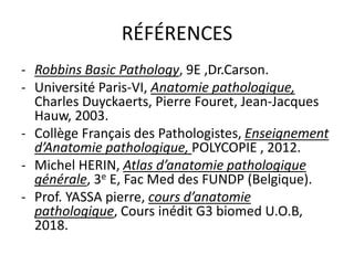 RÉFÉRENCES
- Robbins Basic Pathology, 9E ,Dr.Carson.
- Université Paris-VI, Anatomie pathologique,
Charles Duyckaerts, Pierre Fouret, Jean-Jacques
Hauw, 2003.
- Collège Français des Pathologistes, Enseignement
d’Anatomie pathologique, POLYCOPIE , 2012.
- Michel HERIN, Atlas d’anatomie pathologique
générale, 3e E, Fac Med des FUNDP (Belgique).
- Prof. YASSA pierre, cours d’anatomie
pathologique, Cours inédit G3 biomed U.O.B,
2018.
 