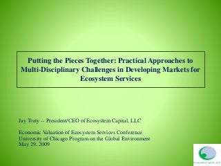 Putting the Pieces Together: Practical Approaches to
Multi-Disciplinary Challenges in Developing Markets for
Ecosystem Services
Jay Truty -- President/CEO of Ecosystem Capital, LLC
Economic Valuation of Ecosystem Services Conference
University of Chicago Program on the Global Environment
May 29, 2009
 