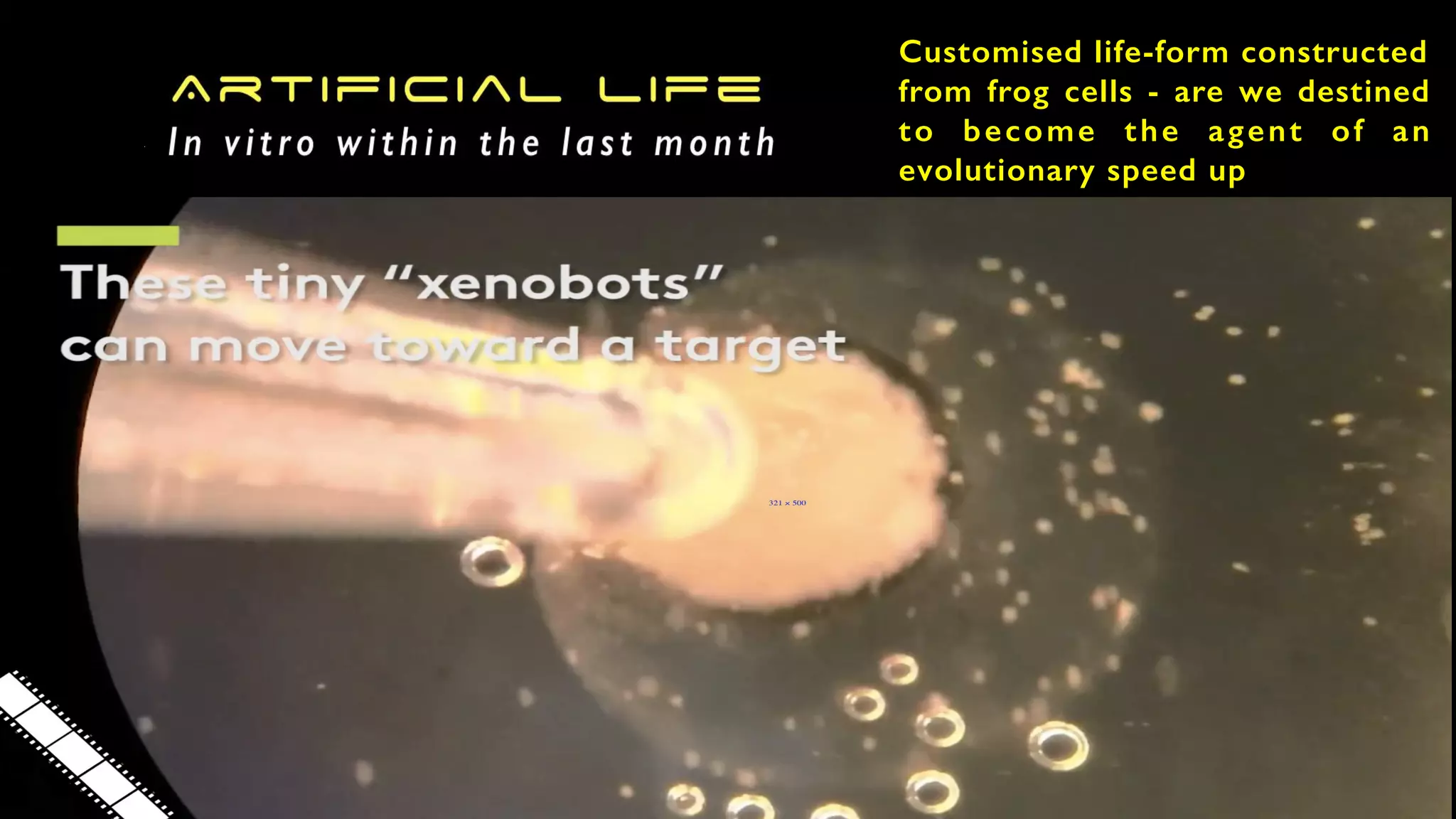 321 × 500
Artificial Life
A vitro within the last month
Customised life-form constructed
from frog cells - are we destined
to become the agent of an
evolutionary speed up
 