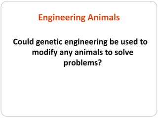 Genetic engineering Presentation pptx | PPTX