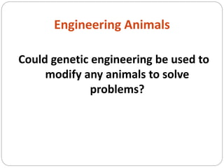Genetic engineering Presentation pptx