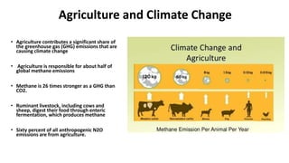 Impact of agriculture on climate change | PPTX