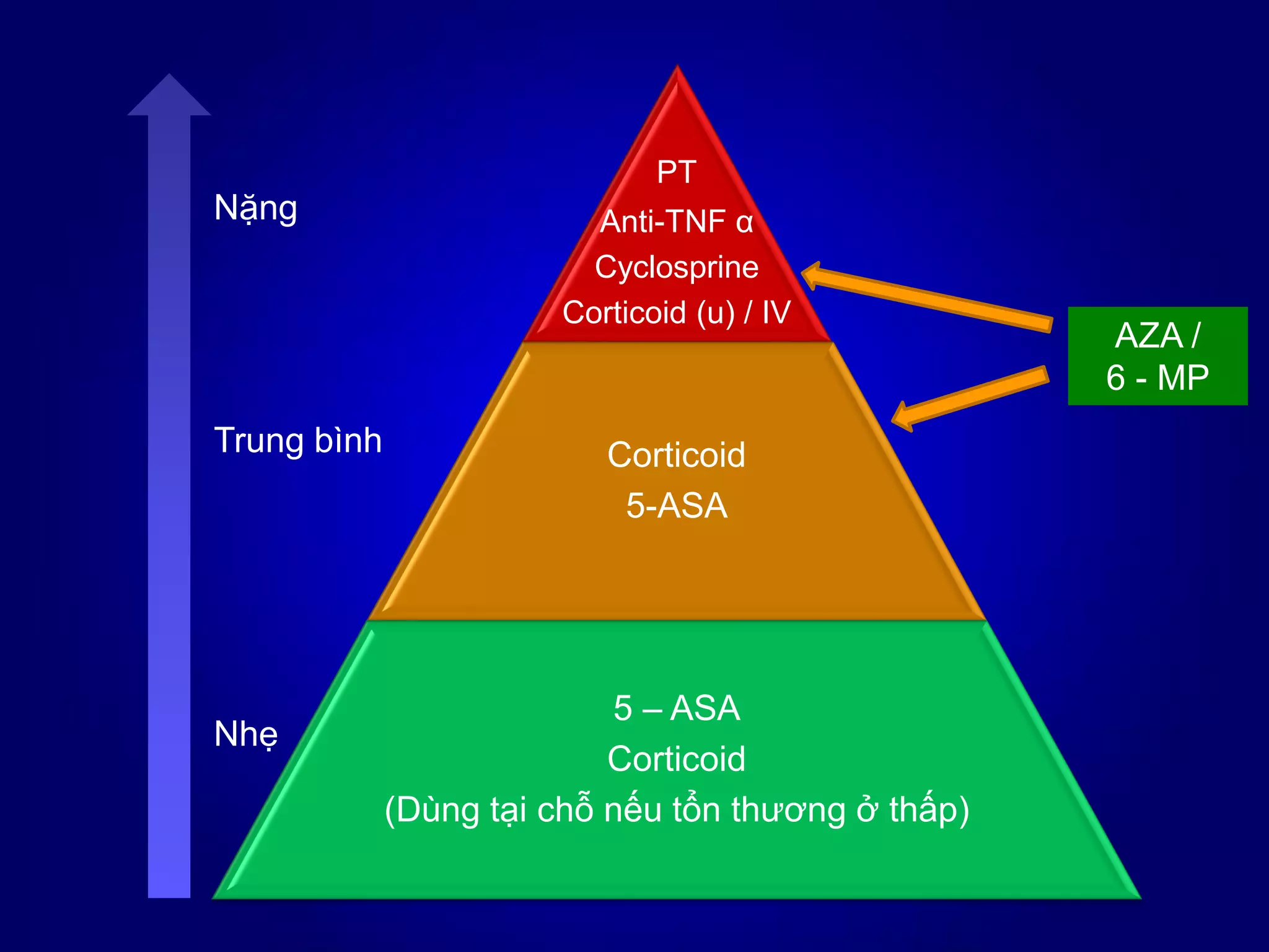 PT
Anti-TNF α
Cyclosprine
Corticoid (u) / IV
Corticoid
5-ASA
5 – ASA
Corticoid
(Dùng tại chỗ nếu tổn thương ở thấp)
Nặng
Trung bình
Nhẹ
AZA /
6 - MP
 