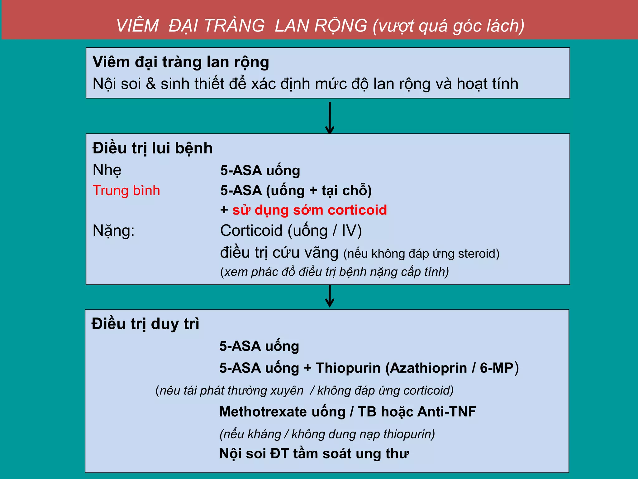 Viêm đại tràng lan rộng
Nội soi & sinh thiết để xác định mức độ lan rộng và hoạt tính
Điều trị duy trì
5-ASA uống
5-ASA uống + Thiopurin (Azathioprin / 6-MP)
(nêu tái phát thường xuyên / không đáp ứng corticoid)
Methotrexate uống / TB hoặc Anti-TNF
(nếu kháng / không dung nạp thiopurin)
Nội soi ĐT tầm soát ung thư
VIÊM ĐẠI TRÀNG LAN RỘNG (vượt quá góc lách)
Điều trị lui bệnh
Nhẹ 5-ASA uống
Trung bình 5-ASA (uống + tại chỗ)
+ sử dụng sớm corticoid
Nặng: Corticoid (uống / IV)
điều trị cứu vãng (nếu không đáp ứng steroid)
(xem phác đồ điều trị bệnh nặng cấp tính)
 
