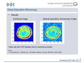 Otical Saturation Microscopy 
Quedlinburg 26th Sep. 2011 
 Results 
Confocal image Optical saturation microscopy image 
Yeast cell with GFP-labeled Ato1p membrane protein 
From: 
J. Humpolickova, A. Benda and J. Enderlein, Biophys. Journal, 2009 (97), 2623–2629. 
 