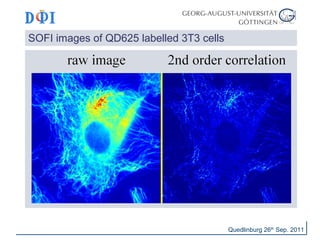 SOFI images of QD625 labelled 3T3 cells 
Quedlinburg 26th Sep. 2011 
 