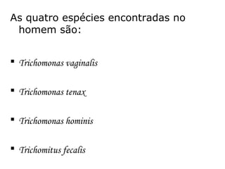 As quatro espécies encontradas no 
homem são: 
 Trichomonas vaginalis 
 Trichomonas tenax 
 Trichomonas hominis 
 Trichomitus fecalis 
 