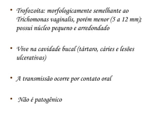 • Trofozoíta: morfologicamente semelhante ao 
Trichomonas vaginalis, porém menor (5 a 12 mm); 
possui núcleo pequeno e arredondado 
• Vive na cavidade bucal (tártaro, cáries e lesões 
ulcerativas) 
• A transmissão ocorre por contato oral 
• Não é patogênico 
 
