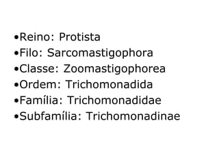 •Reino: Protista 
•Filo: Sarcomastigophora 
•Classe: Zoomastigophorea 
•Ordem: Trichomonadida 
•Família: Trichomonadidae 
•Subfamília: Trichomonadinae 
 