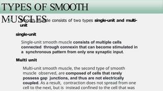 Comprehensive Physiology of Muscle: Types, Structure, and Contraction ...