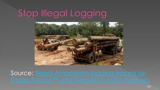 Source: Illegal Amazonian logging traced by
Cargo Tracck™ and Gemalto’s M2M modules
107
 