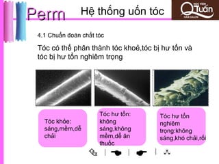 Perm           Hệ thống uốn tóc

 4.1 Chuẩn đoán chất tóc

 Tóc có thể phân thành tóc khoẻ,tóc bị hư tổn và
 tóc bị hư tổn nghiêm trọng




                      Tóc hư tổn:     Tóc hư tổn
   Tóc khỏe:          không           nghiêm
   sáng,mềm,dễ        sáng,không      trọng:không
   chải               mềm,dễ ăn       sáng,khó chải,rối
                      thuốc
                          |
                                
                                |    | 
 
