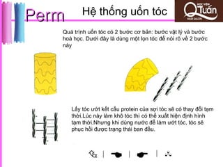 Perm       Hệ thống uốn tóc
   Quá trình uốn tóc có 2 bước cơ bản: bước vật lý và bước
   hoá học. Dưới đây là dùng một lọn tóc để nói rõ về 2 bước
   này




       Lấy tóc ướt kết cấu protein của sợi tóc sẽ có thay đổi tạm
       thời.Lúc này làm khô tóc thì có thể xuất hiện định hình
       tạm thời.Nhưng khi dùng nước để làm ướt tóc, tóc sẽ
       phục hồi được trạng thái ban đầu.



                  |
                            |          | 
 