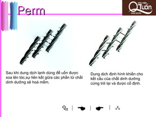 Perm




Sau khi dung dịch lạnh dùng để uốn được         Dung dịch định hình khiến cho
xoa lên tóc,sự liên kết giữa các phần tử chất   kết cấu của chất dinh dưỡng
dinh dưỡng sẽ hoá mềm.                          cứng trở lại và được cố định.




                                     |
                                              |         | 
 