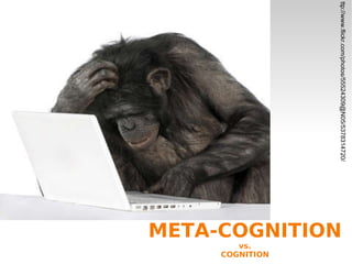 META-COGNITION vs. COGNITION ttp://www.flickr.com/photos/55524309@N05/5378314720/ 