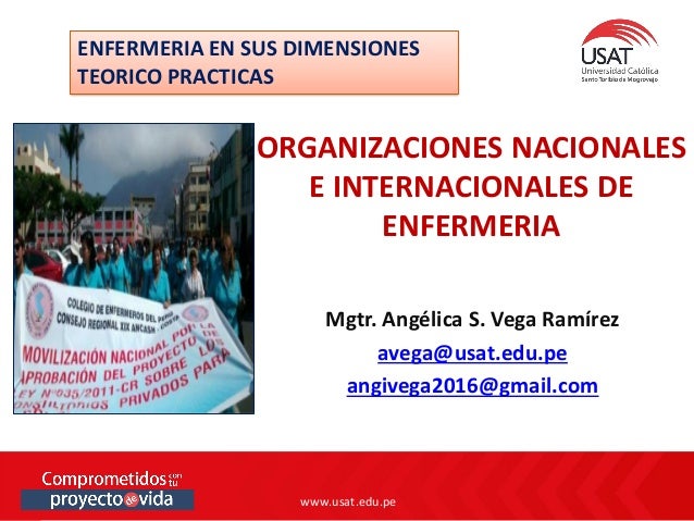 Organizaciones Nacionales e Internacionales de Enfermeria