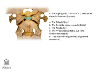 4) The Highlighted structure is (La structure 
en surbrillance est) (1 mark): 
a- The Atlas (L’Atlas) 
b- The Dens (Le processus odontoide) 
c- The Axis (L’Axis) 
d- The 4th cervical vertebra (La 4ène 
vertèbre cervicale). 
e- The transverse ligament(Le ligament 
transverse). 
 