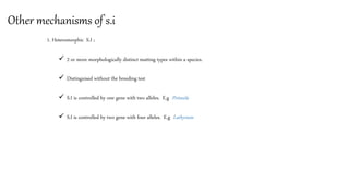 Other mechanisms of s.i
1. Heteromorphic S.I ;
 2 or more morphologically distinct matting types within a species.
 Distinguised without the breeding test
 S.I is controlled by one gene with two alleles. E.g Primula
 S.I is controlled by two gene with four alleles. E.g Lathyrum
 