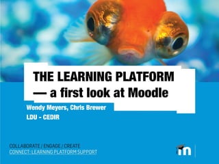 THE LEARNING PLATFORM
  — a first look at Moodle
Wendy Meyers, Chris Brewer
LDU - CEDIR
 