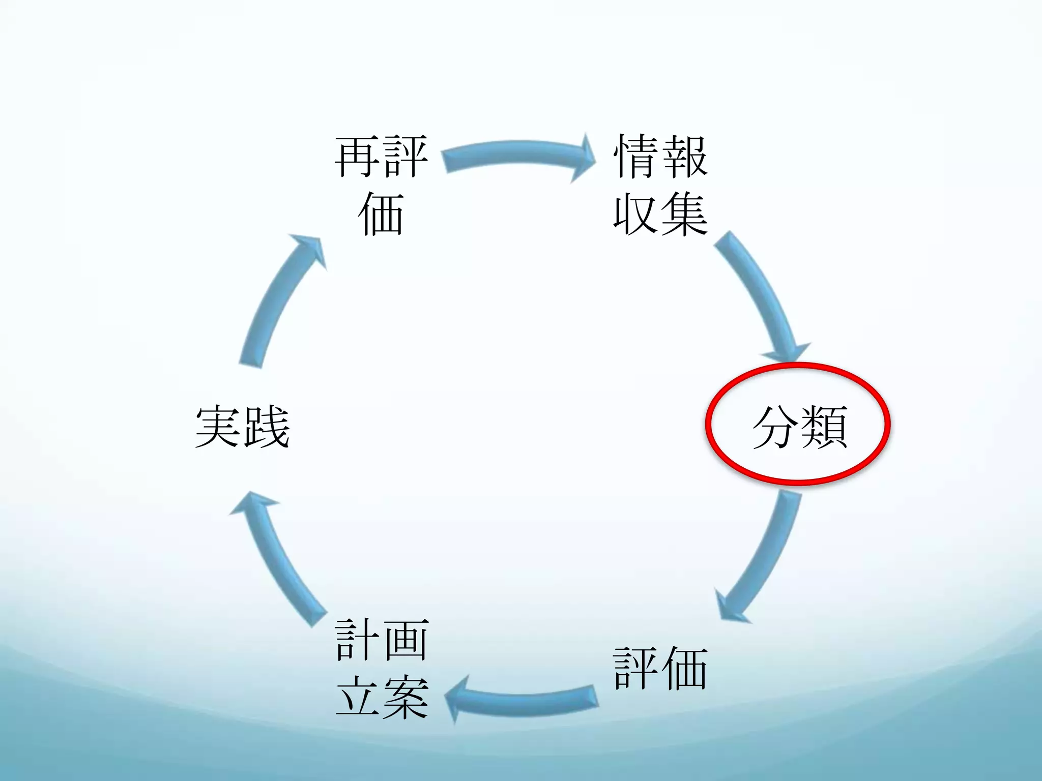 情報
収集
分類
評価
計画
立案
実践
再評
価
 