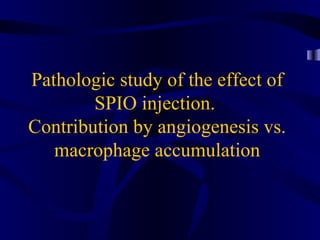 Pathologic study of the effect of
SPIO injection.
Contribution by angiogenesis vs.
macrophage accumulation
 