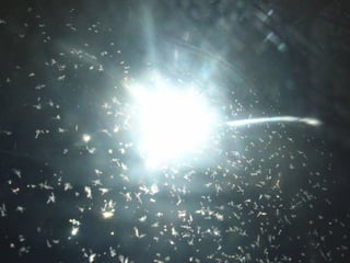 Up Above The World So High