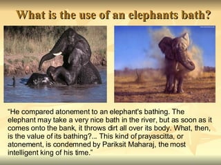 What is the use of an elephants bath? “ He compared atonement to an elephant's bathing. The elephant may take a very nice bath in the river, but as soon as it comes onto the bank, it throws dirt all over its body. What, then, is the value of its bathing?... This kind of prayascitta, or atonement, is condemned by Pariksit Maharaj, the most intelligent king of his time.” 