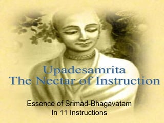 Essence of Srimad-Bhagavatam In 11 Instructions Upadesamrita The Nectar of Instruction 