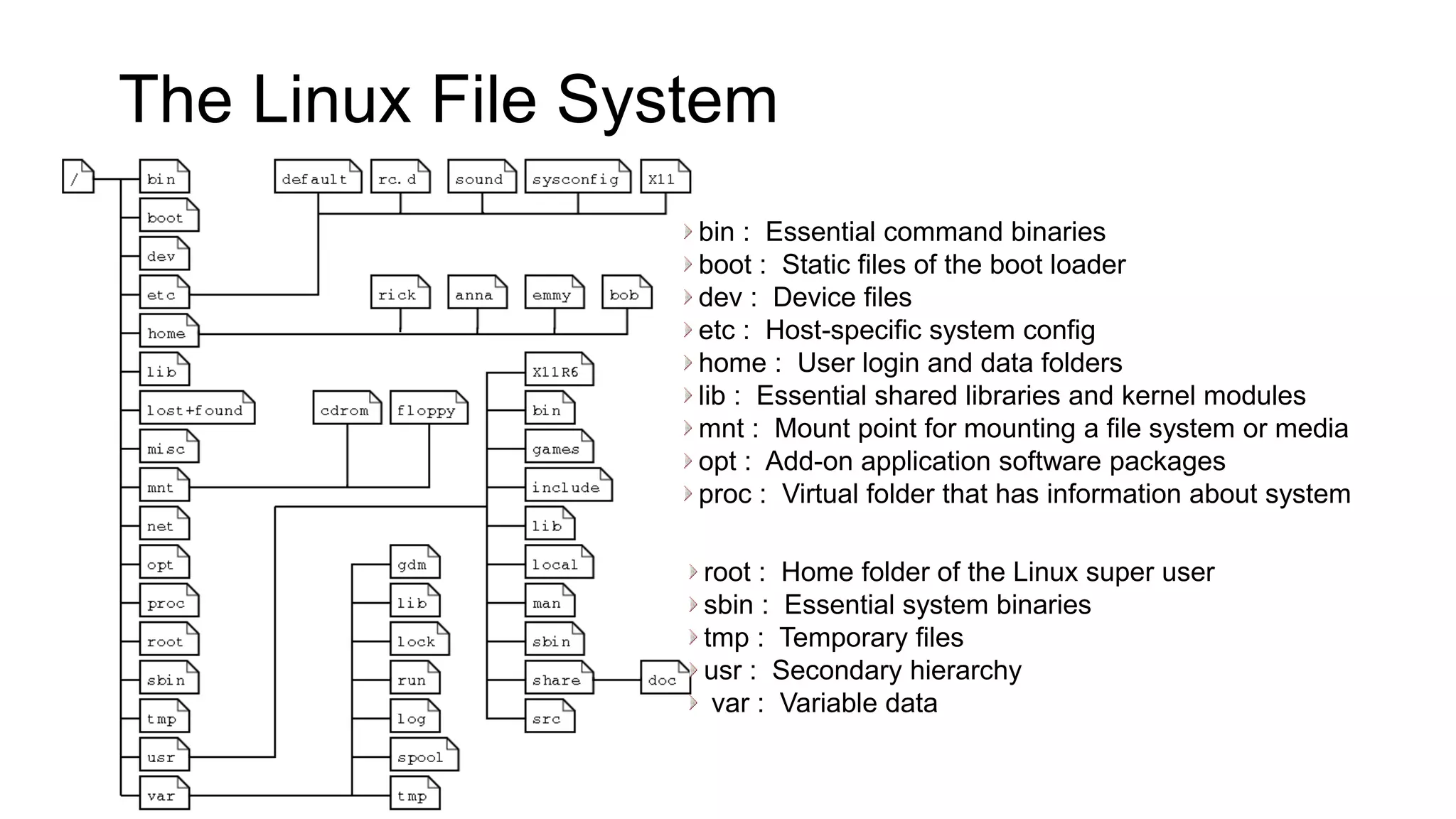 The Linux File System bin : Essential command binaries boot : Static files of the boot loader dev : Device files etc : Host-specific system config home : User login and data folders lib : Essential shared libraries and kernel modules mnt : Mount point for mounting a file system or media opt : Add-on application software packages proc : Virtual folder that has information about system root : Home folder of the Linux super user sbin : Essential system binaries tmp : Temporary files usr : Secondary hierarchy var : Variable data 