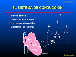 Cardiologia

EL SISTEMA DE CONDUCCION
R



El nodo Sinusal



El nodo atrioventricular



Los tractos internodales



El sistema His-Purkinje

P

T

Q S

NS

PRI
NAV

HEINISCH, RH,

Dr.R. Arangurí V.

 