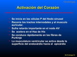 Cardiologia

Activación del Corazón









Se inicia en las células P del Nodo sinusal
Recorre los tractos internodales y el musculo
auricular.
Sufre retardo importante en el nodo AV
Se acelera en el Haz de His
Se conduce rápidamente en las fibras de
Purkinje
La musculatura ventricular se activa desde la
superficie del endocárdio hacia el epicárdio

Dr.R. Arangurí V.

 