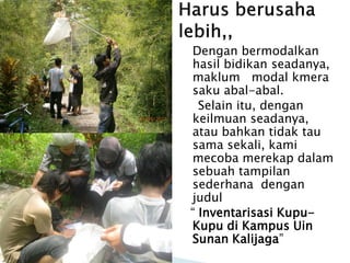 Dengan bermodalkan
hasil bidikan seadanya,
maklum modal kmera
saku abal-abal.
  Selain itu, dengan
keilmuan seadanya,
atau bahkan tidak tau
sama sekali, kami
mecoba merekap dalam
sebuah tampilan
sederhana dengan
judul
“ Inventarisasi Kupu-
Kupu di Kampus Uin
Sunan Kalijaga”
 