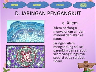 SK/KD

MATERI

EVALUASI

DAFTAR
PUSTAKA

D. JARINGAN PENGANGKUT
a. Xilem
Xilem berfungsi
menyalurkan air dan
mineral dari akar ke
daun.
Jaringan xilem
mengandung sel-sel
parenkim dan serabut
xilem yang fungsinya
seperti pada serabut
floem.

 