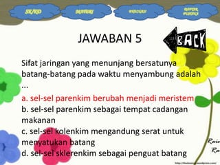 SK/KD

MATERI

EVALUASI

DAFTAR
PUSTAKA

JAWABAN 5
Sifat jaringan yang menunjang bersatunya
batang-batang pada waktu menyambung adalah
...
a. sel-sel parenkim berubah menjadi meristem
b. sel-sel parenkim sebagai tempat cadangan
makanan
c. sel-sel kolenkim mengandung serat untuk
menyatukan batang
d. sel-sel sklerenkim sebagai penguat batang

 