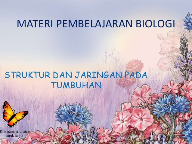 Up Bio