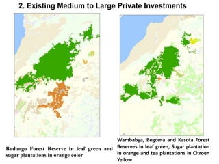 2. Existing Medium to Large Private Investments 
Budongo Forest Reserve in leaf green and 
sugar plantations in orange color 
Wambabya, Bugoma and Kasota Forest 
Reserves in leaf green, Sugar plantation 
in orange and tea plantations in Citroen 
Yellow 
 