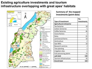 Existing agriculture investments and tourism 
infrastructure overlapping with great apes’ habitats 
Summary of the mapped 
Investments (point data) 
Type of Investment 
No. 
investments 
Agricultural enterprise 
Tea factories 18 
Cotton Ginneries 5 
Coffee factories 46 
Cocoa factory 1 
Dairy 22 
commercial farms 10 
Horticulture 2 
Saw Mills 10 
Research centrres 2 
Tree planting 1 
Irrigation sites 1 
Fish processing plants 14 
sub total 132 
Tourism Infrastructure 32 
Grand total 164 
 