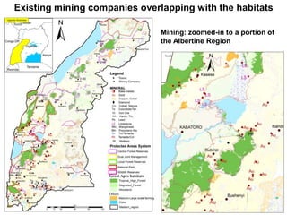 Existing mining companies overlapping with the habitats 
Mining: zoomed-in to a portion of 
the Albertine Region 
 