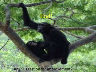 End! 
Any Suggestion for improvement? 
