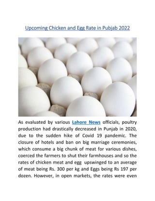 Upcoming Chicken and Egg Rate in Pubjab 2022
As evaluated by various Lahore News officials, poultry
production had drastically decreased in Punjab in 2020,
due to the sudden hike of Covid 19 pandemic. The
closure of hotels and ban on big marriage ceremonies,
which consume a big chunk of meat for various dishes,
coerced the farmers to shut their farmhouses and so the
rates of chicken meat and egg upswinged to an average
of meat being Rs. 300 per kg and Eggs being Rs 197 per
dozen. However, in open markets, the rates were even
 