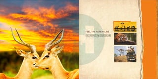 Supertech Upcountry on Yamuna expressway