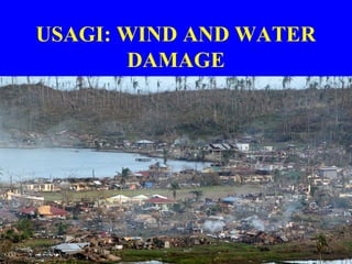 USAGI: WIND AND WATER
DAMAGE
 