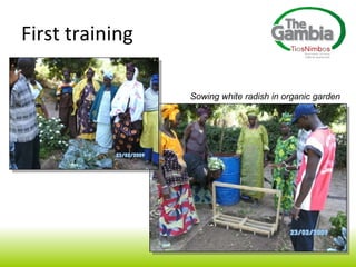 First training Sowing white radish in organic garden   