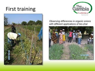 First training Observing differences in organic onions with different applications of bio-char   