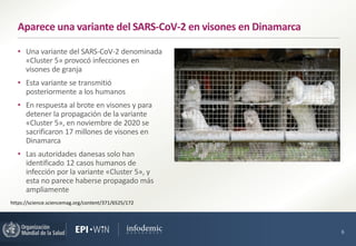 • Una variante del SARS-CoV-2 denominada
«Cluster 5» provocó infecciones en
visones de granja
• Esta variante se transmiti...