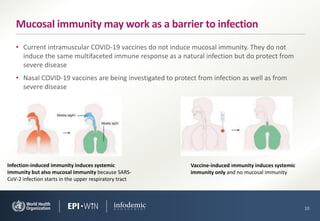 • Current intramuscular COVID-19 vaccines do not induce mucosal immunity. They do not
induce the same multifaceted immune response as a natural infection but do protect from
severe disease
• Nasal COVID-19 vaccines are being investigated to protect from infection as well as from
severe disease
10
Mucosal immunity may work as a barrier to infection
Infection-induced immunity induces systemic
immunity but also mucosal immunity because SARS-
CoV-2 infection starts in the upper respiratory tract
Vaccine-induced immunity induces systemic
immunity only and no mucosal immunity
 