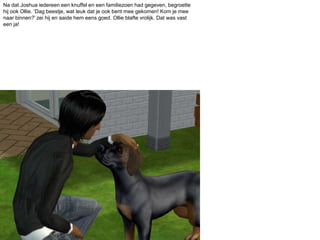 Na dat Joshua iedereen een knuffel en een familiezoen had gegeven, begroette hij ook Ollie. ‘Dag beestje, wat leuk dat je ook bent mee gekomen! Kom je mee naar binnen?’ zei hij en aaide hem eens goed. Ollie blafte vrolijk. Dat was vast een ja!